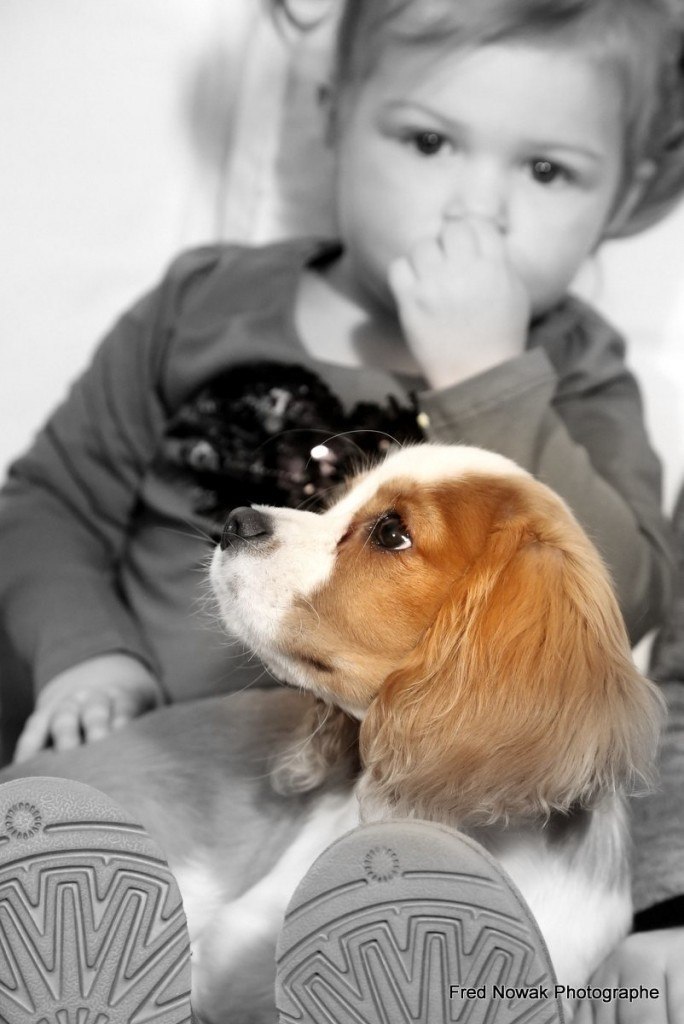 bébé avec bébé chien, photo de famille aix en provence par fred nowak photographe professionnel